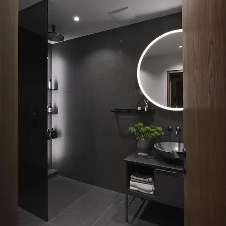 Appartement Jaukus Ir Stilingas Butas Prie Jono Kalnelio