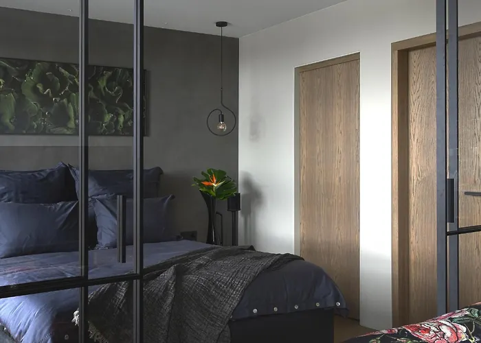 Jaukus Ir Stilingas Butas Prie Jono Kalnelio *