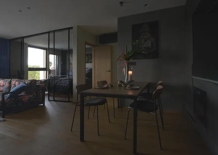 Jaukus Ir Stilingas Butas Prie Jono Kalnelio Appartement